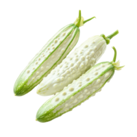 transparent bitter cucumbers arranged on a clean transparent background highlighting their unique texture and appearance, transparent bitter cucumber on transparent background png