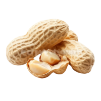 Whole, peeled, and unpeeled peanuts isolated on a clean background showcasing their natural textures and forms, Peeled, unpeeled and whole shell peanuts isolated on transparent background png