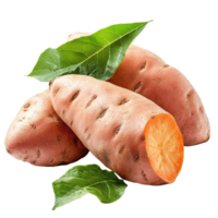 Fresh sweet yam potatoes with green leaves isolated on a transparent background for culinary use and nutrition, sweet yam potato with leaf isolated on transparent background png