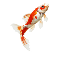 A striking koi fish leaps high into the air, creating a splash as it breaks through the surface of the water, Leaping Fish in MidAir High Resolutionisolated on transparent background png