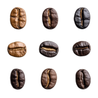 Different angles of isolated coffee beans showcase unique colors and textures in a layout, Different angle of individual coffee bean isolated png
