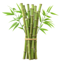 Bamboo bunch with green leaves isolated against a transparent background for decorative purposes, bamboo bunch with green leaves, file of isolated object on transparent background png