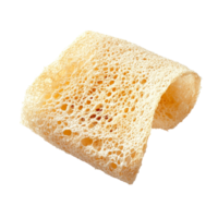 Angled slice of natural loofah on a bright transparent background showcasing its unique textures, Angled loofah slice isolate on transparent background png