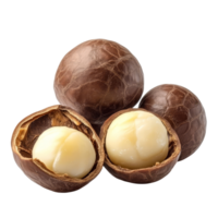 Macadamia nut seeds on a transparent background showcasing their creamy interior and hard outer shell, Macadamia nut seeds isolated on transparent background png