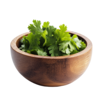 Fresh coriander leaves in a rustic wooden bowl against a clean transparent background for culinary use, coriander leaf in wood bowl isolated on transparent background png