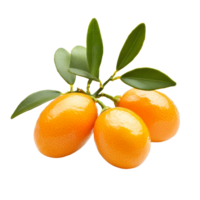 Fresh orange kumquats with green leaves on a transparent background highlighting their vibrant color and texture, Orange kumquat isolated on transparent background png