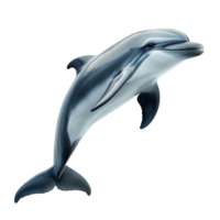 Adorable dolphin isolated on a transparent background showcasing its playful nature, Adorable dolphin isolated on transparent background png