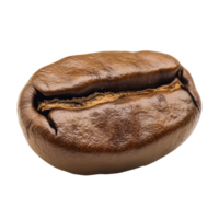 Roasted coffee bean highlighting its rich texture and color against a neutral background for brewing enthusiasts, Roasted Coffee Bean png