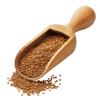 Amaranth seeds in a wooden scoop on transparent background showcasing natural grain detail, amaranth seeds on wooden scoop on transparent background png