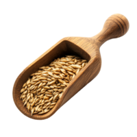 Wooden scoop filled with golden barley grain set against a clean transparent background, grain barley in wood scoop on transparent background png
