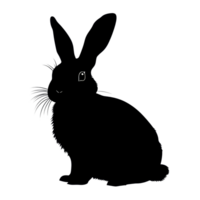 Black silhouette of a rabbit against a transparent background showcasing its distinctive features, black silhouette of a rabbit png