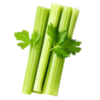 Fresh celery sticks with green leaves on a transparent background highlighting their vibrant color and fresh texture, Celery sticks with leaf on transparent background png