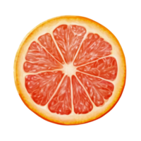 Freshly sliced grapefruit citrus fruit on transparent background showcasing vibrant inner segments and texture details, Grapefruit citrus fruit isolated on trransparent png