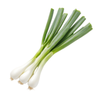 Fresh leeks arranged on a transparent background showcasing their vibrant green tops and smooth transparent bulbs, Leek transparent background png