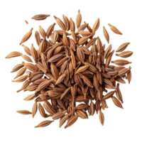 Dried caraway seeds scattered on a transparent background for culinary and medicinal uses, dried Caraway seeds isolated on transparent background png