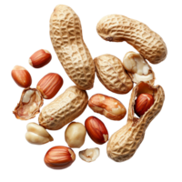 A detailed view of fresh peanuts on a transparent background showcasing various stages of shelling and color variations, Peanut on transparent background png