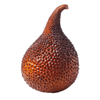 salak frukt på en transparent bakgrund, visa upp dess unik textur och form i ett konstnärlig presentation, salak på transparent bakgrund png