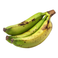 Fresh green bananas isolated on a clean transparent background showcasing their natural texture and vibrant color, Green banana isolated on transparent background png
