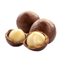 Isolated macadamia nuts and their shells showcasing the delicious inner kernel against a transparent background, macadamia nuts isolated on transparent background png