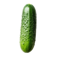 Fresh cucumber resting on a clean transparent background highlighting its natural texture and vibrant green color for culinary use, cucumber vegetable on transparent background png