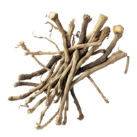 Natural valerian root displayed on a transparent background, highlighting its unique features and earthy texture, Valerian root on a transparent background png