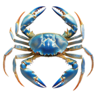 Blue crab displayed on a transparent background highlighting its vibrant colors and distinctive features, Blue crab isolated on transparent backgroundfile png