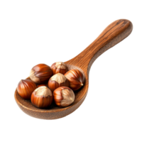 Hazelnuts arranged neatly in a wooden spoon isolated on a clean transparent background, hazelnuts in wood spoon isolated on transparent background png