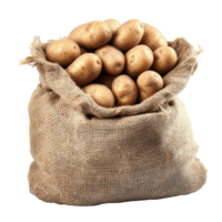 Sack of fresh potatoes isolated on transparent background for culinary use or agricultural display, Sack of potatoes isolated on transparent background png