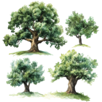 A collection of watercolor oak trees on a transparent background showcasing natures beauty and detail, 3D icon of a cute tree in birght green color isolated transparent background png