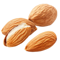 Fresh almonds in their shells isolated on a clean transparent background for culinary and health purposes, Group of almonds nut with shell isolated on transparent background png