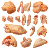 A collage of isolated raw chicken parts displayed on a transparent background for culinary use and food preparation, Isolated whole raw chicken parts collage png