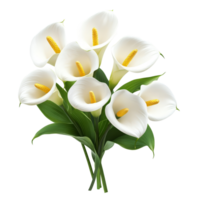 Elegant bouquet of cala lily flowers on a pristine transparent background showcasing their beauty, Bouquet of cala lily flowers, isolated on transparent background png