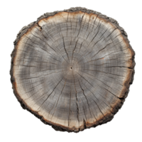 Crosscut of a tree log displaying intricate striped textures on a transparent surface, showcasing natural patterns in detail, Crosscut of a tree log with striped texture on transparent backgroundfile png
