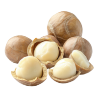 Fresh macadamia nuts in their shells and shelled on a clean transparent background highlighting their natural texture, fresh macadamia nuts isolated on transparent background png
