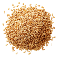 Natural sesame seeds isolated on a transparent background highlighting their texture and color for culinary uses, sesame isolated on transparent background png