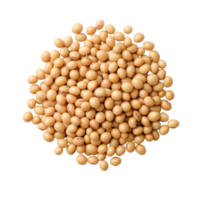 Isolated soy bean seeds on a transparent background, showcasing their natural color and shape for clarity, Soy beans seeds isolated on trransparent png