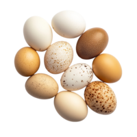 A collection of eggs arranged on a clean transparent background showcasing various colors and textures, eggs on transparent background png