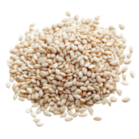 A closeup view of scattered transparent sesame seeds on a bright transparent background showcasing their shape and texture, transparent sesame on transparent background png