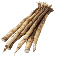 Fresh burdock roots arranged on a clean transparent background showcasing their earthy texture and natural form, Fresh Burdock roots on transparent background png