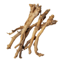 Fresh fingerroot Kaempfer Boesenbergia on a clean transparent background showcasing its natural texture and form, Fingerroot, Kaempfer, Boesenbergia in on transparent background png