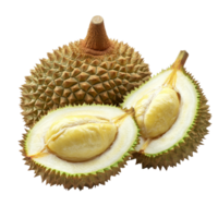 Fresh durian fruit cut open to reveal creamy flesh against a clean transparent background in a natural setting, durian fruit isolated on transparent background png