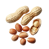 A variety of shelled and unshelled peanuts displayed on a clean surface, Group of peeled, unpeeled and opened shell peanuts png