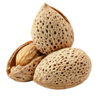 Fresh almonds with shells isolated on a clean transparent background for culinary and health uses, Group of almonds nut with shell isolated on transparent background png