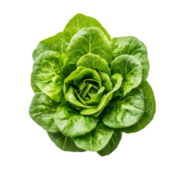 Fresh lettuce viewed from above on a clean transparent background showcasing its vibrant green color and leafy texture, Lettuce top view on transparent background png