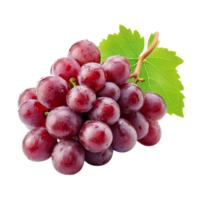 A vibrant bunch of ripe red grapes resting on a clean transparent background, Ripe red grape. One berry isolated on transparent background png