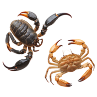 Scorpion and crab isolated on a transparent background highlighting different marine species in a natural environment, Scorpion and crab isolated on transparent background png