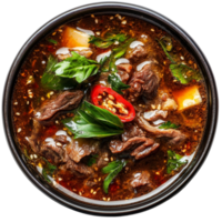 Aromatic spicy beef soup served in a bowl, featuring fresh herbs and vibrant ingredients on a transparent background, spicy beef soup top view isolated on transparent background png
