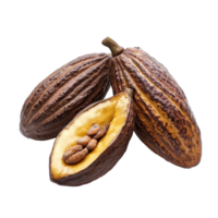Cocoa fruits placed on a transparent background showcasing their unique textures and colors, highlighting natural agricultural produce, ripe cocoa fruits isolated on transparent background png