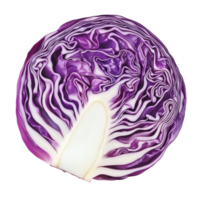 Detailed view of a slice of red cabbage showcasing its rich color and unique texture on a transparent background, Red cabbage slice isolated on transparent background png