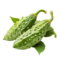 Fresh bitter gourds isolated on a transparent background showcasing their distinctive texture and color, Bitter gourd isolated on transparent background png